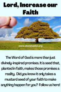 Lord, increase our faith!