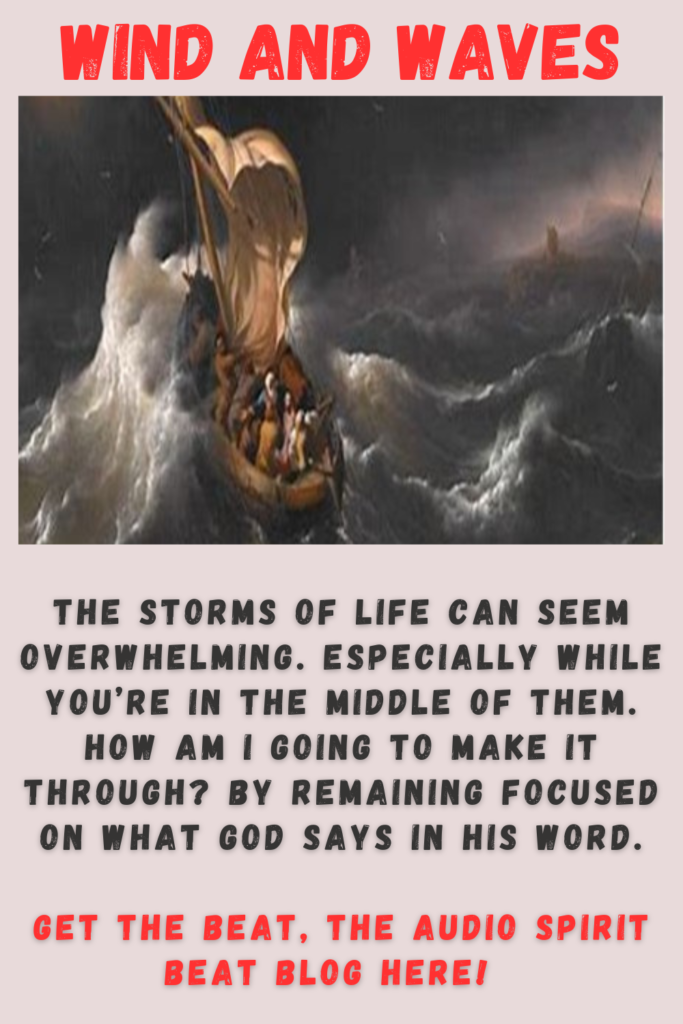 How to make it through your storm. Find out here.
